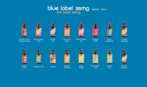 DotMod DotSwitch 單杆/一次性煙彈 單杆便攜 口味豐富 口感滑順